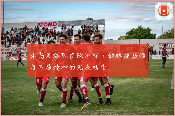 冰岛足球队在欧洲杯上的辉煌历程与不屈精神的完美结合