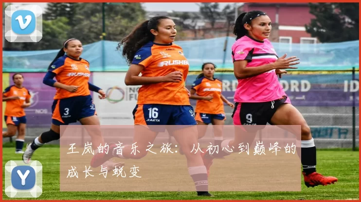 王岚的音乐之旅：从初心到巅峰的成长与蜕变