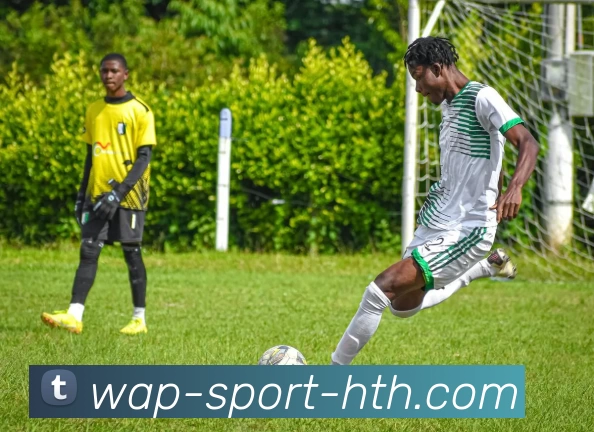 华体会平台生态图